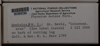 Image Associated With the Occurence